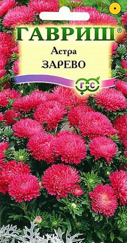 Семена цветов астра Зарево карликовая 0,3г Гавриш