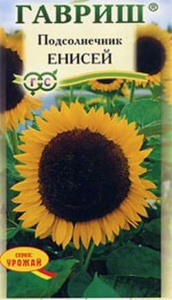 Семена подсолнечник Енисей 10г Гавриш