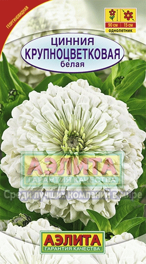 Семена цветов цинния Крупноцветковая белая ц/п 0,3г Аэлита