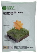 Семена газона Зеленый Ковер ЗЕЛЕНЫЙ КВАДРАТ солнечный пакет 1кг