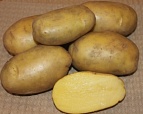 Картофель семенной Гулливер 30-55мм суперэлита 2кг