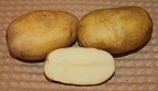 Картофель семенной Юбилей Жукова 30-55мм суперэлита 2кг