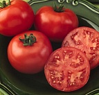 Семена томат Ляна ранний 0,1г Агроуспех