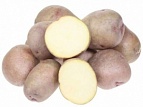 Картофель семенной Жуковский ранний 30-55мм суперэлита 2кг