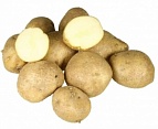 Картофель семенной Голубизна 30-55мм суперэлита 2кг