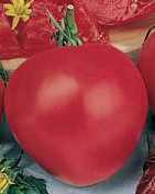 Семена томат Бычье сердце 0,1г Агроуспех
